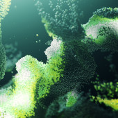 An artist's rendering of DNA