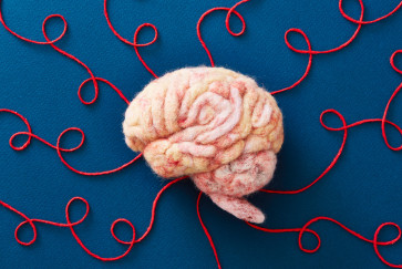 Injectible peptides protect the brain after stroke