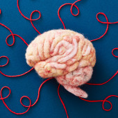 Injectible peptides protect the brain after stroke