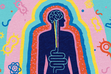 an illustration of a human silhouette with the stomach and brain linked