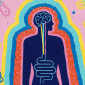 an illustration of a human silhouette with the stomach and brain linked