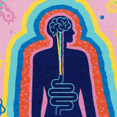 an illustration of a human silhouette with the stomach and brain linked