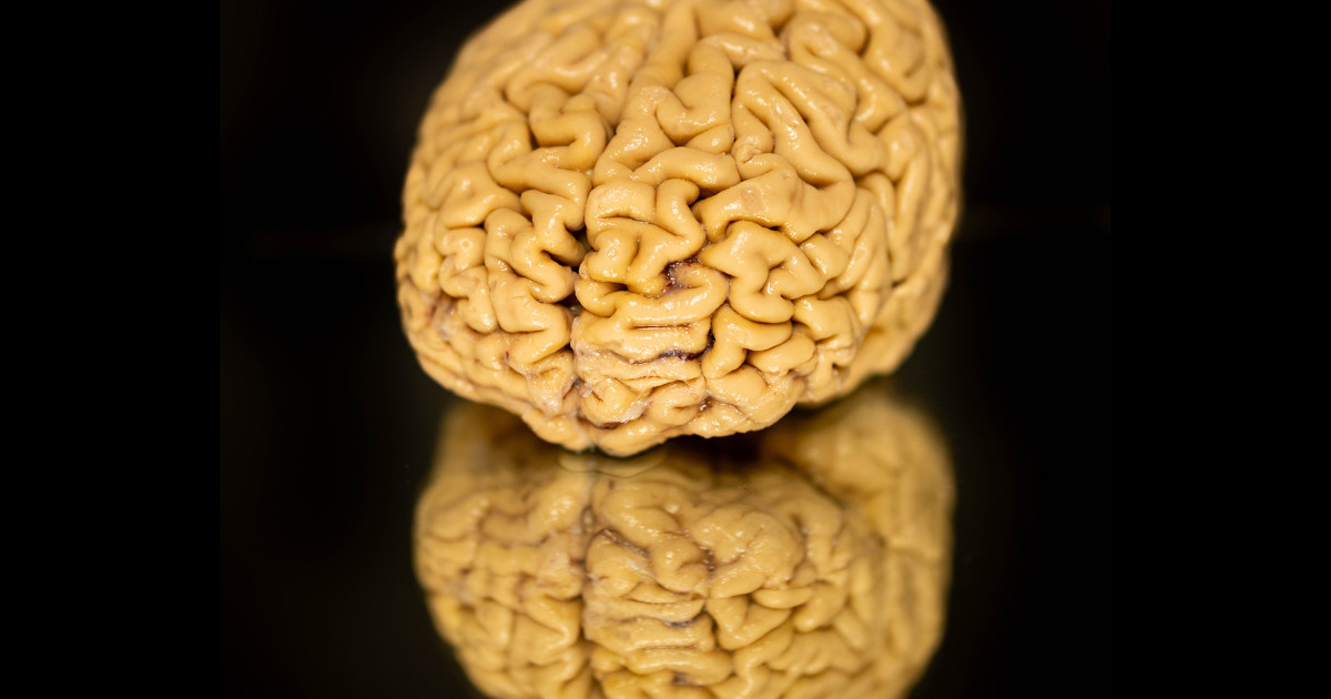 news.northwestern.edu image