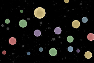 nanoparticles