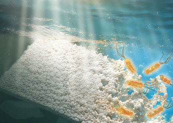 plastic in water with bacteria