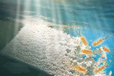 plastic in water with bacteria