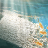 plastic in water with bacteria