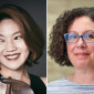 ver steeg fellows