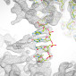 DNA