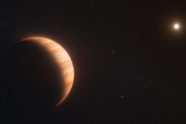 Artist concept of the gas giant planet WD1856b