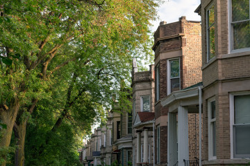 A line of mature trees in front of a row of greystones