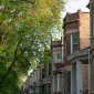 A line of mature trees in front of a row of greystones