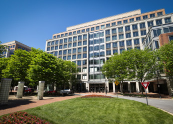 trees lead to a multi-story office building 