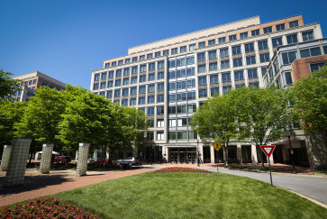 trees lead to a multi-story office building 