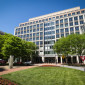 trees lead to a multi-story office building 