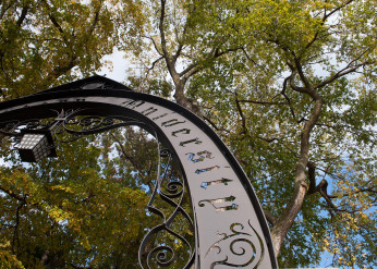 weber arch
