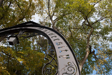 weber arch