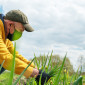 farmer