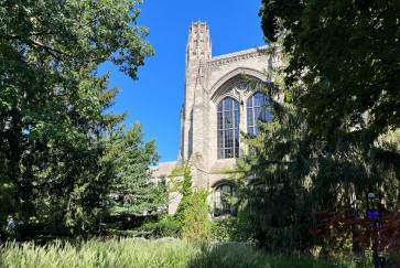 A tower of Deering Library viewed from between two trees