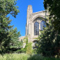 A tower of Deering Library viewed from between two trees