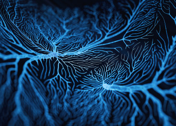 neurodegenerative disease