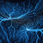 neurodegenerative disease