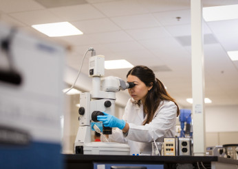 undergraduate research