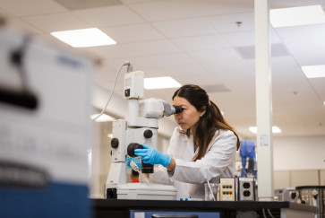 undergraduate research