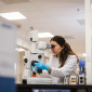 undergraduate research