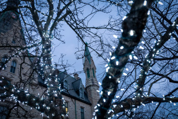 winter lights