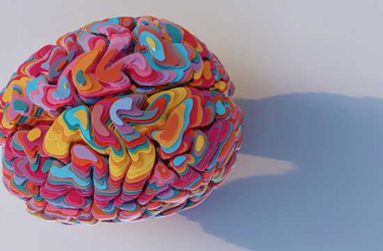 brain health